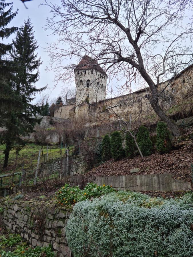 Stradela Cetatii Apartment Sighisoara Bagian luar foto