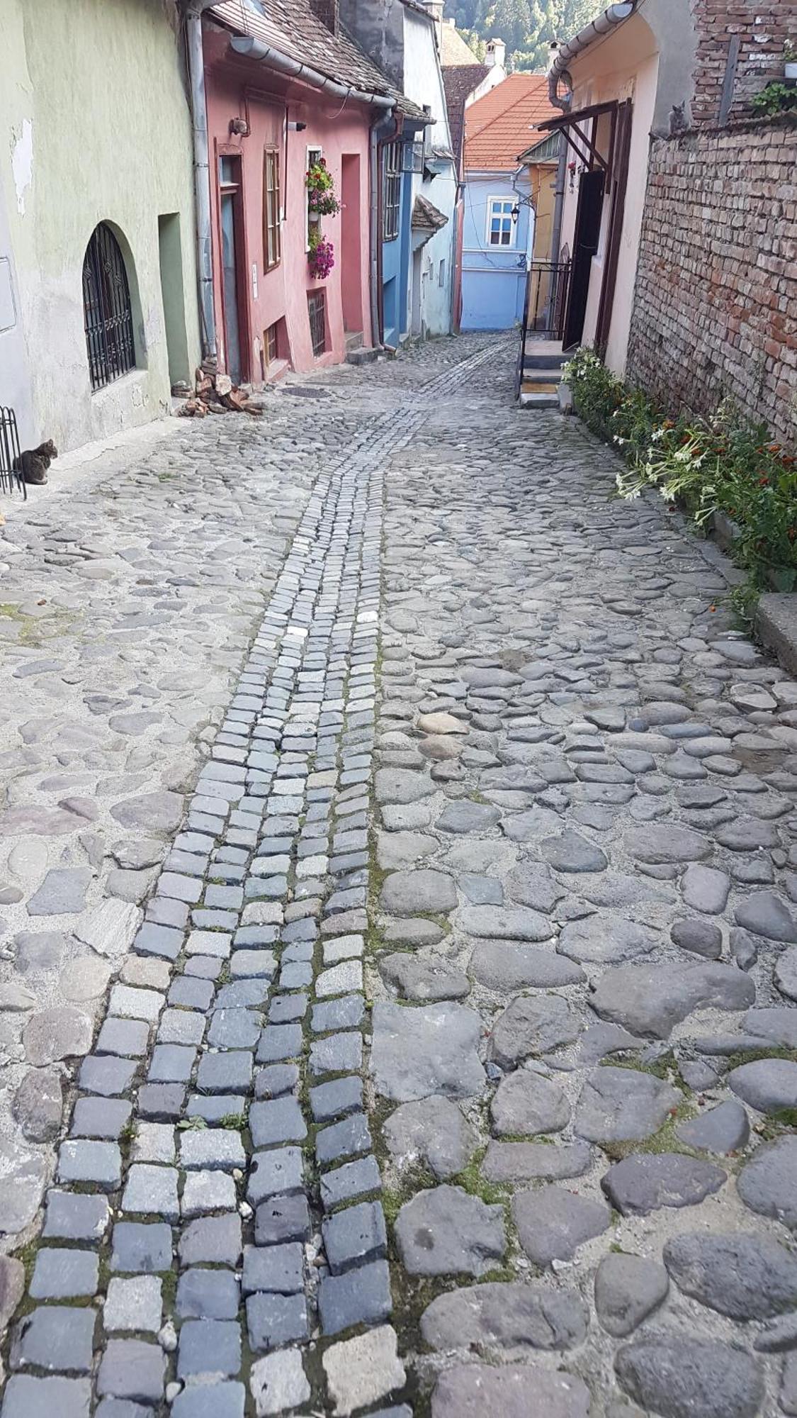 Stradela Cetatii Apartment Sighisoara Bagian luar foto